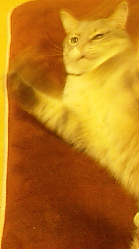 c0180885_2039262.jpg