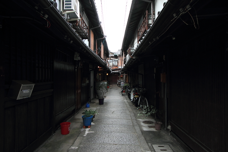 京の蜂蜜屋さん_e0051888_22074.jpg