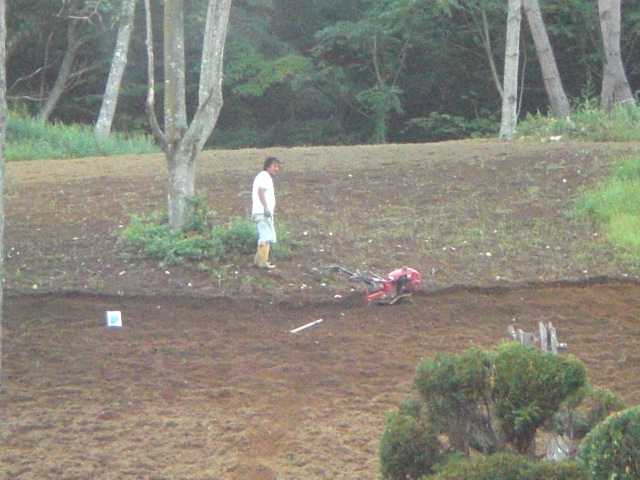 c0099395_16255325.jpg