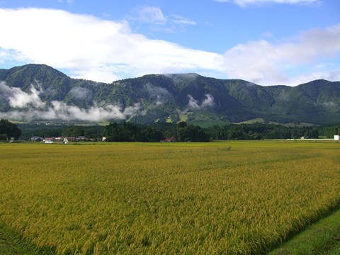 a0138198_11155545.jpg