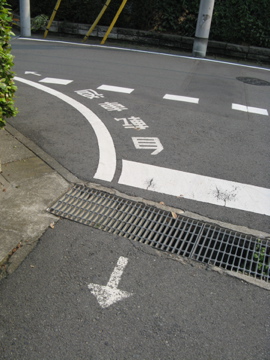 利根川自転車道で渋川まで　その3_a0117599_19465775.jpg