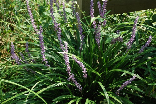 c0124100_030473.jpg