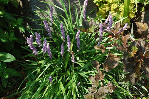 c0124100_0312654.jpg