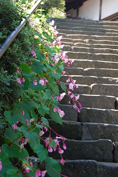c0124100_21594073.jpg