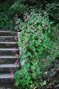 c0124100_2204137.jpg