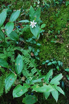 c0124100_221494.jpg