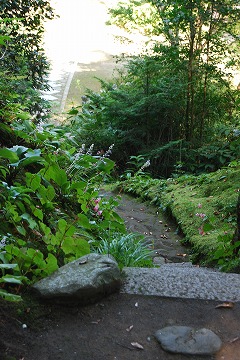 c0124100_2215744.jpg