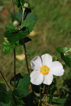 c0124100_2222363.jpg