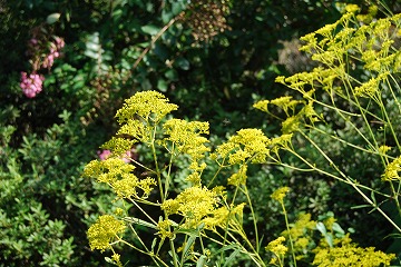 c0124100_2231916.jpg