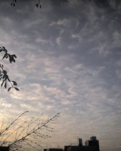 c0164401_2292562.jpg