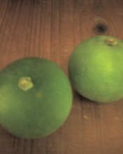c0164401_2403267.jpg