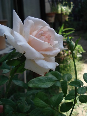 b0199304_2256115.jpg