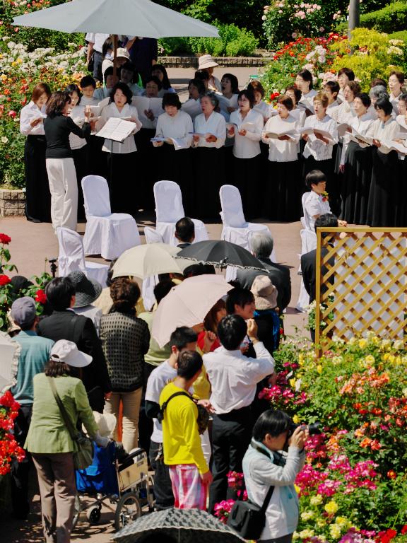 祝祭のバラ園 その5：祝祭の始まり_d0087407_233499.jpg