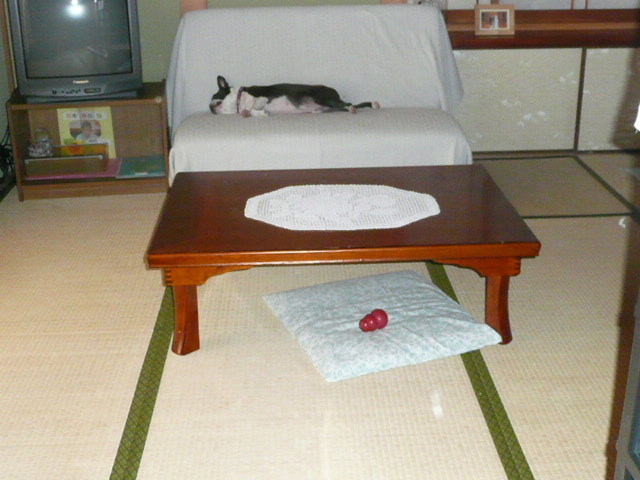 c0165909_9142751.jpg
