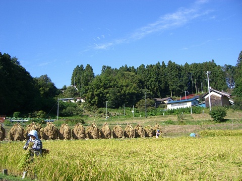 b0168412_22263750.jpg