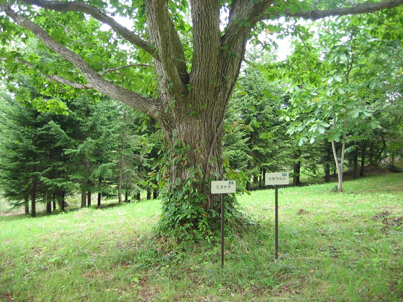 黒松内町 フットパス!_d0070814_1371595.jpg