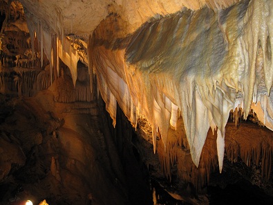 e0157915_1231824.jpg