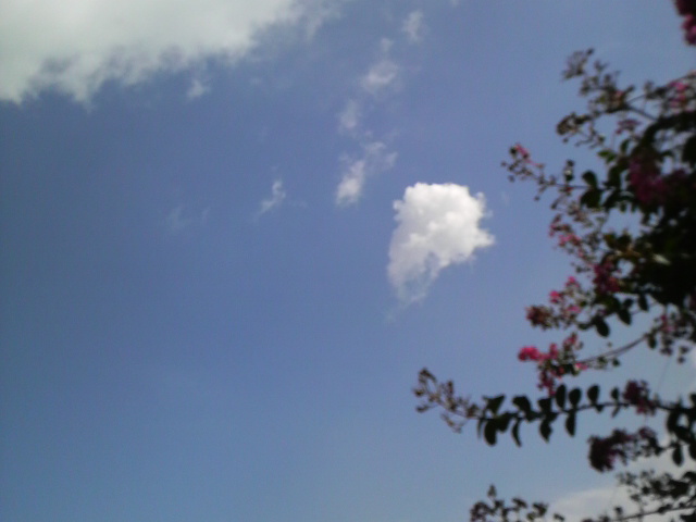 f0145318_036721.jpg