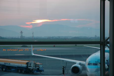 a0164223_04803.jpg