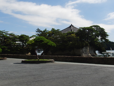 d0176525_11226.jpg