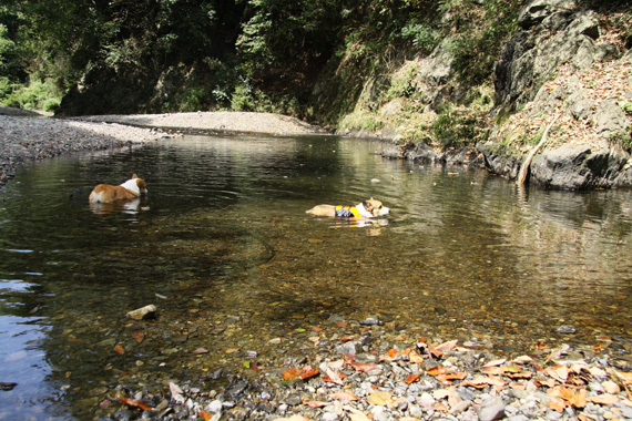 e0071225_13221290.jpg