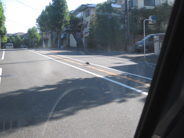 ある朝の風景_c0102228_221344.jpg