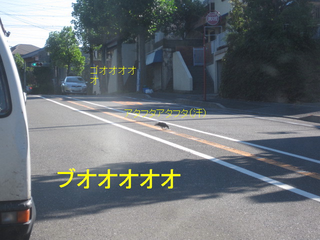 ある朝の風景_c0102228_2215015.jpg