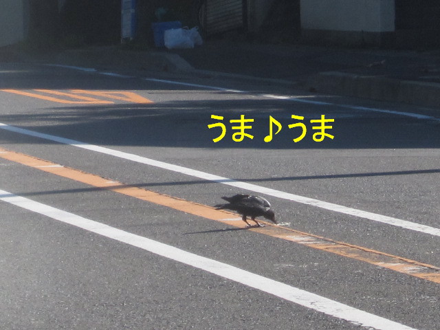 ある朝の風景_c0102228_22152429.jpg