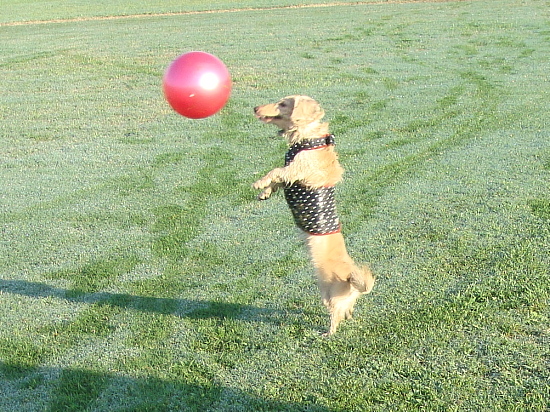 c0117831_2128436.jpg