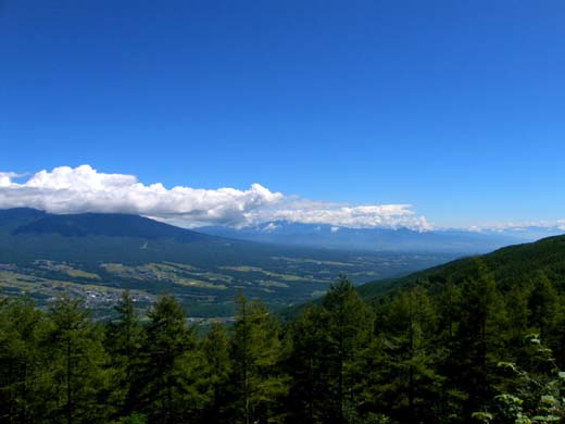 初秋の定番、入笠湿原と八ヶ岳山麓のソバ畑_d0127634_13122165.jpg