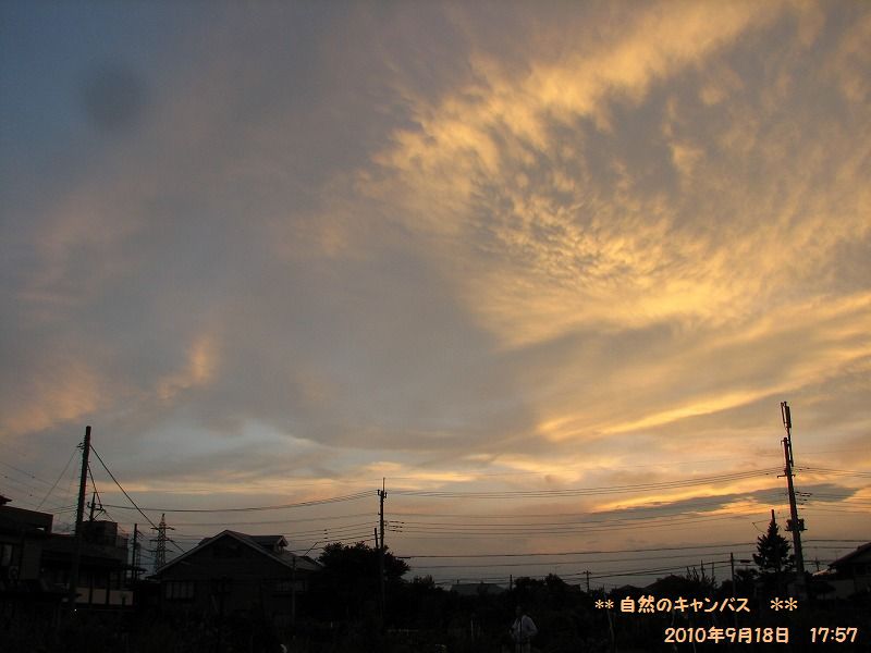 e0052135_2224043.jpg