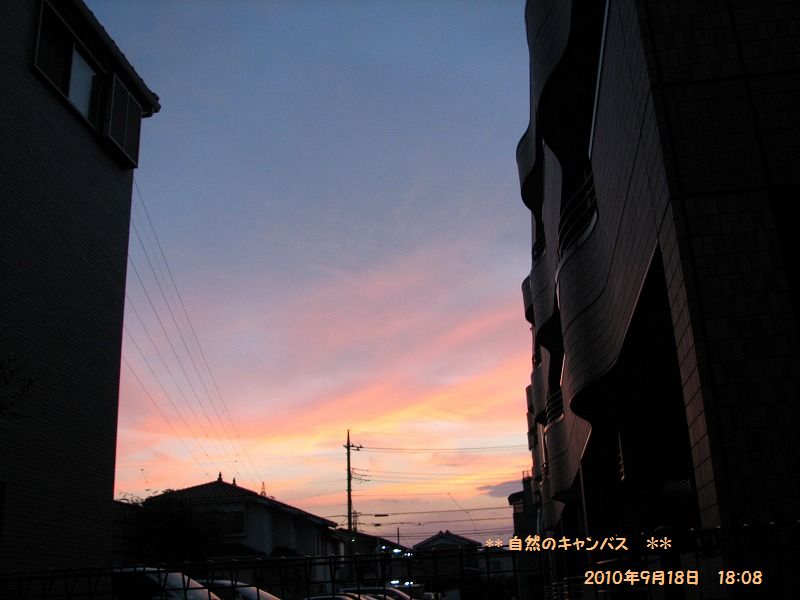 e0052135_22243761.jpg
