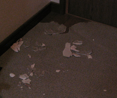 a0166338_1211192.gif