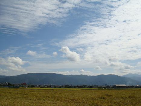 a0014840_1985514.jpg