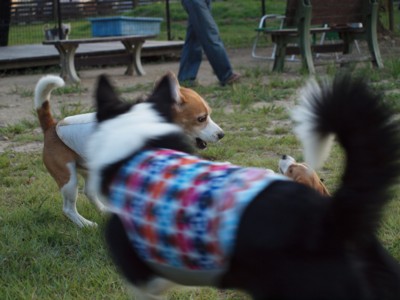 c0119142_1652548.jpg