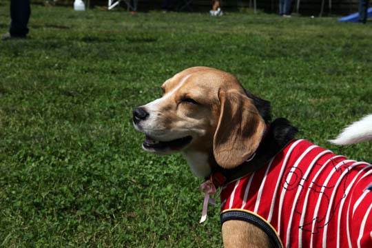 a0042044_1263670.jpg