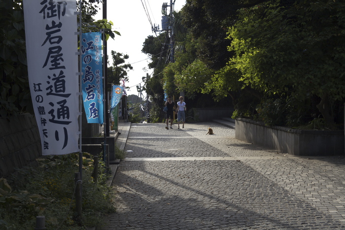 d0001745_1065935.jpg
