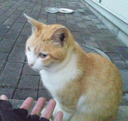 f0229250_20442051.gif