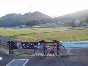 f0229250_20453397.gif