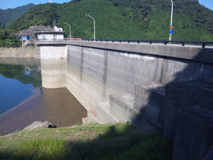 f0229250_20514224.gif