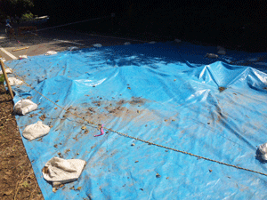 f0229250_2132640.gif