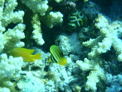 c0180460_23353849.jpg