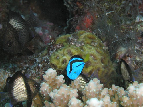 c0180460_23401553.jpg