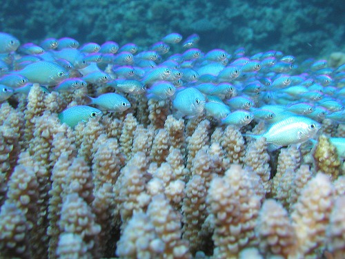 c0180460_23412767.jpg