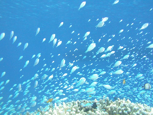 c0180460_23435422.jpg