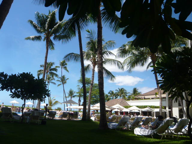c0100865_1563427.jpg