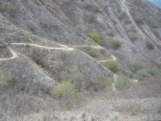 c0100865_2195815.jpg