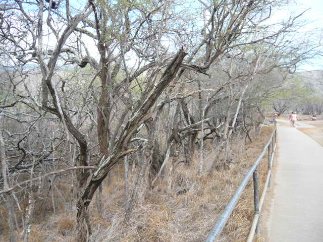 c0100865_2254869.jpg