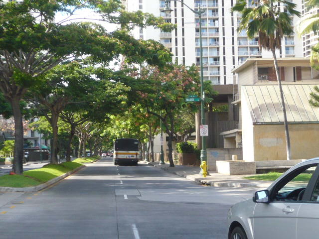 c0100865_2434423.jpg