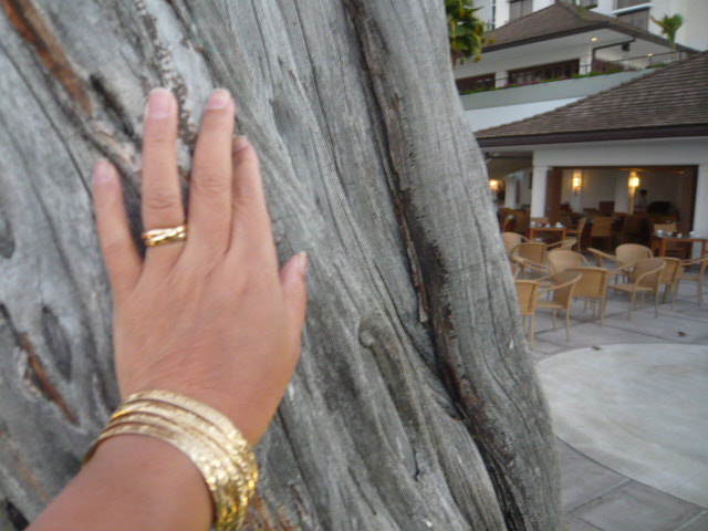 c0100865_3305666.jpg